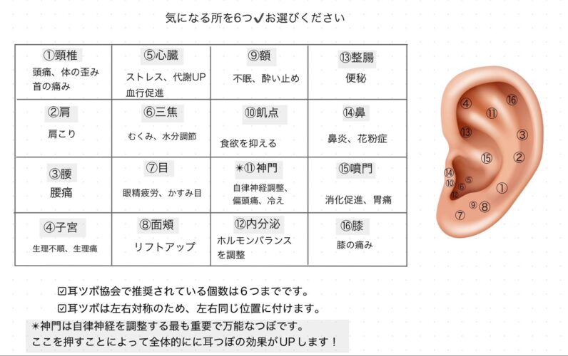 新メニュー 耳ツボジュエリー