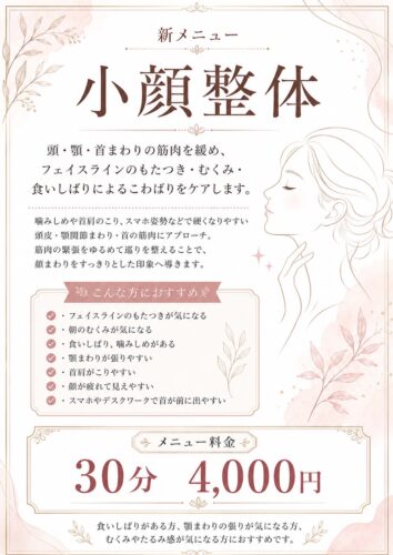 小顔整体